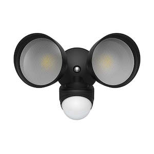 Spotlights: The Bouncer