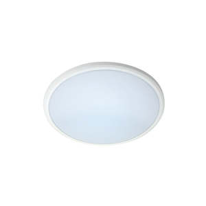 Bathroom Ceiling Lights: EV - 14W Button - Non-Dimmable