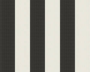 Karl Lagerfeld: Karl Lagerfeld - Fashion Stripes