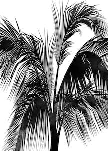 ARTist - Sunset Boulevard