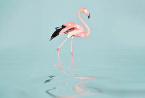 ARTist - Flamingo Water