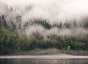 Designwalls 2 - Fiordlands