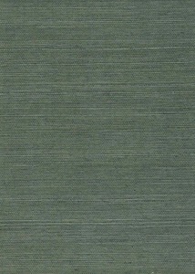 Grasscloth: Grasscloth PSF63