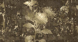 Bestsellers: Amber - Mystic