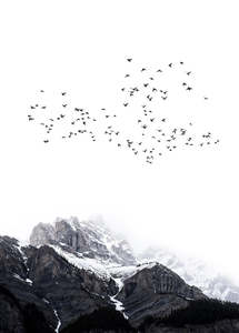 ARTist - The Mountains