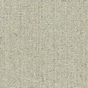 Stock Sale | Textum - Canvas GREEN (Current Style)