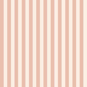 Color Pop - Ballerina Stripe