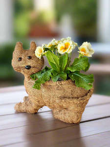Full Price Favourites: Cat Planter