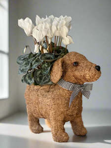 Full Price Favourites: Dog Planter