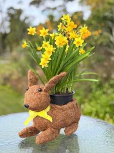 Full Price Favourites: Rabbit Planter - BUY ONE GET SECOND ONE 50% OFF