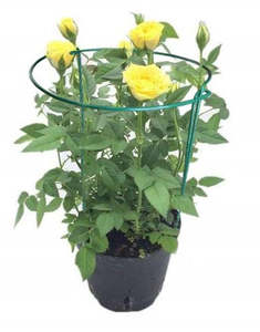 Perennial Supports (1.0m)