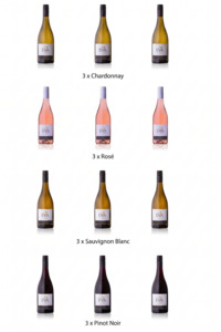 Our Wines: Mixed 12 pack of Eva Pemper Premium Wines