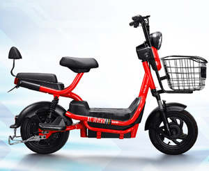 Z3 - 2 Seater Family E-Bike