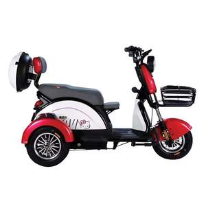 Electric Tricycles E Trikes: TM4 (TCAT) - Electric Mobility Plus Tricycle
