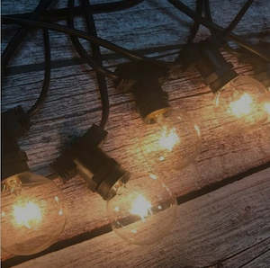 Festoon Lights - 25m