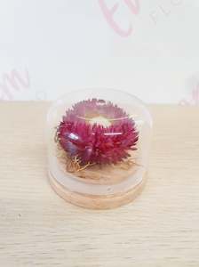 Dried Flowers And Wreaths: Glass Domes - Flower Globes