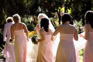 Wedding Flowers 2: Wedding package 2 - Bridal Party Blooms