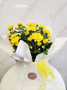 50 And Less: Potted Chrysanthemum