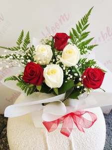 Christmas Collection: Pure Love