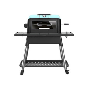 Gas Rotisserie Kit