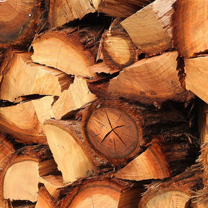 Products: 4.5m3 FIREWOOD- Old man Pine Luggate Logging