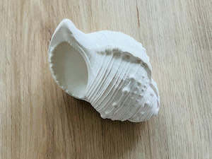 Bath Toys: Lanco Karacola Whelk Shell Bath Toy (White)