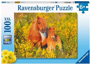 Puzzles: Ravensburger Shetland Ponies 100pc