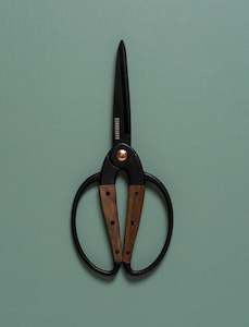 Walnut Scissors
