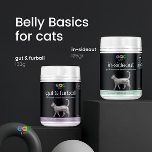 Cat Care: Belly Basics for Cats