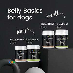 Dog Care: Belly Basics for Dogs
