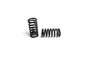 For Your Board: Replacement Truck Springs for Renegade Diablo