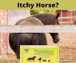 Animal Health: SOA Itch Be Gone Soap 300gm