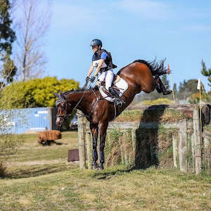 Animal Health: Flair Equine Nasal Strips