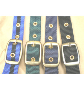 Eventor Web Halter