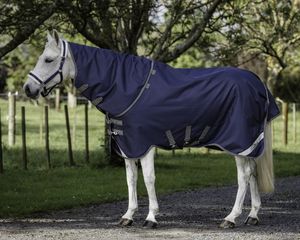 Our Favourites: Cavallino Gen 4 Detach A Neck
