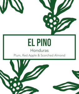 Coffee: Honduras El Pino