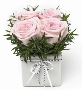 Products: Rose Cube Pink Roses Florist Valentines Day