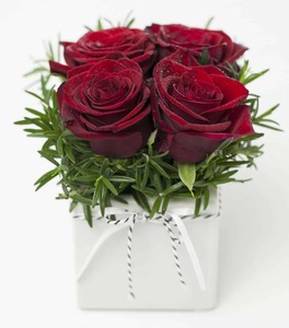 Rose cube red Flowers Roses Valentines Day