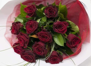 Products: Half Dozen Red Roses Hamilton Cambridge Florist