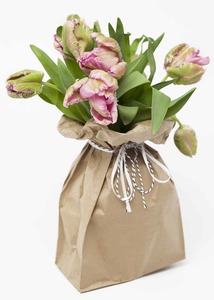 Products: Double Tulip Florist Hamilton Cambridge