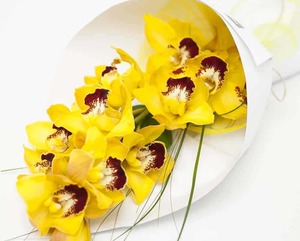 Products: Yellow Orchid Bouquet Hamilton Cambridge Florist
