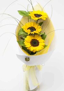 Products: Sunflower Bouquet Hamilton Cambridge Florist