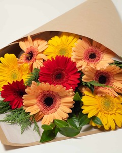 Products: Perfect Gerbera Bouquet - Bright Expressions