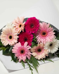 Products: Perfect Gerbera Bouquet - Pastel Expressions