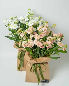Products: Funky Stock Flowers Cambridge Hamilton Florist