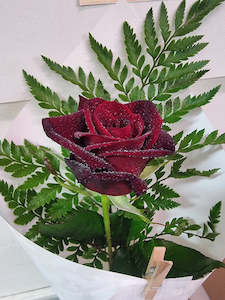 Valentine's Day: Single Red Rose