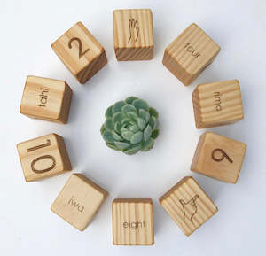 Numeracy: Numeracy Blocks