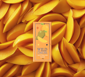 Under 40: Lip Balm - Mango