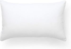 Products: Lumbar Cushion Inner