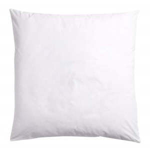 Products: Square Cushion Inner